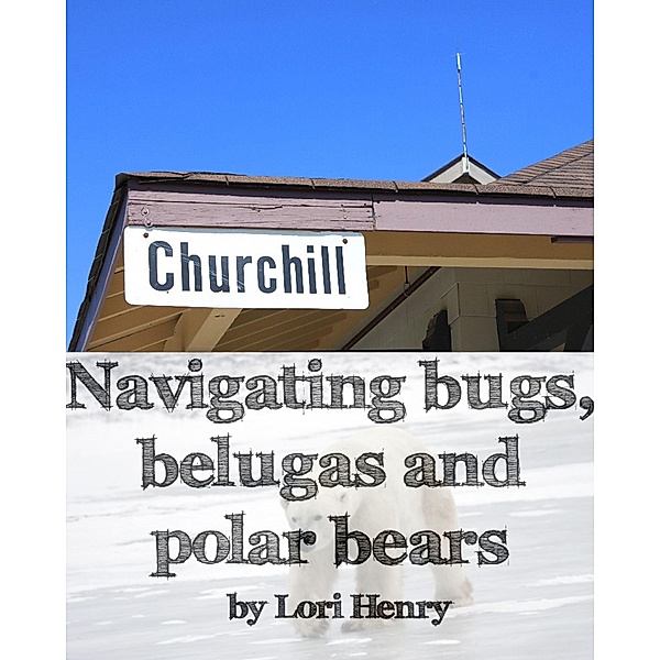 Navigating bugs, belugas and polar bears in Churchill, Canada / Dancing Traveller Media, Lori Henry