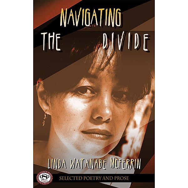 Navigating the Divide, Linda Watanabe McFerrin