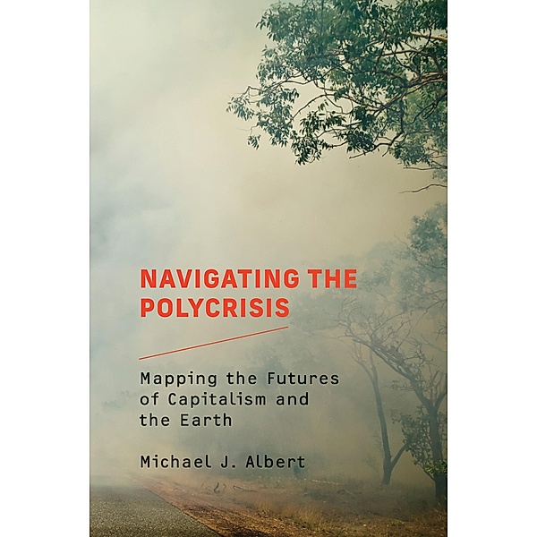 Navigating the Polycrisis, Michael J. Albert