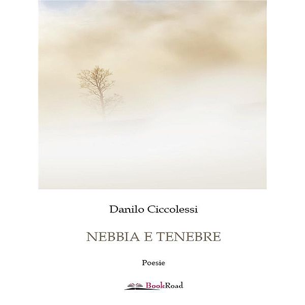 Nebbia e tenebre, Danilo Ciccolessi