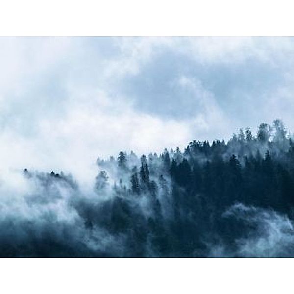 Nebel im Wald - 2.000 Teile (Puzzle)
