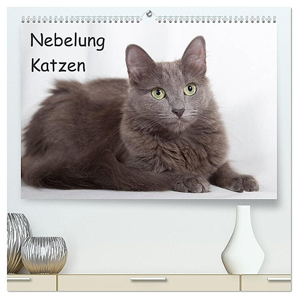 Nebelung Katzen (hochwertiger Premium Wandkalender 2024 DIN A2 quer), Kunstdruck in Hochglanz, Fotodesign Verena Scholze