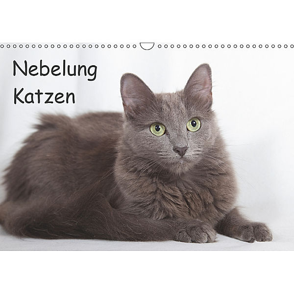 Nebelung Katzen (Wandkalender 2019 DIN A3 quer), Verena Scholze