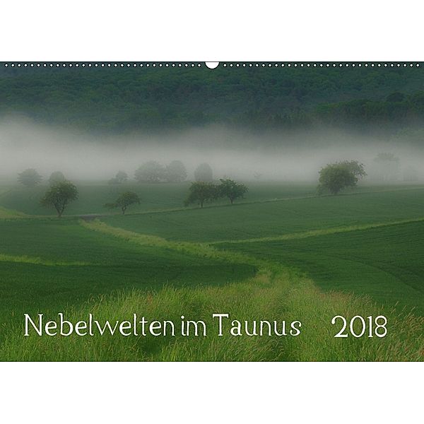 Nebelwelten im Taunus (Wandkalender 2018 DIN A2 quer), Gerald Wolf