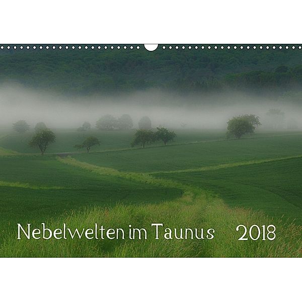 Nebelwelten im Taunus (Wandkalender 2018 DIN A3 quer), Gerald Wolf