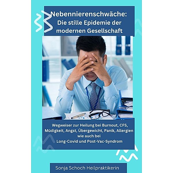 Nebennierenschwäche: Die stille Epidemie der modernen Gesellschaft, Sonja Schoch