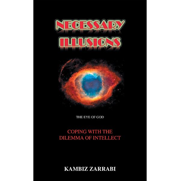 Necessary Illusions, Kambiz Zarrabi