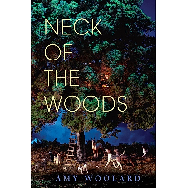 Neck of the Woods, Amy Woolard