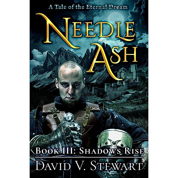 Needle Ash Book 3: Shadows Rise / Needle Ash, David V. Stewart