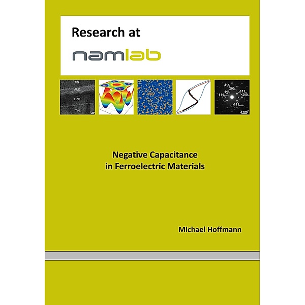 Negative Capacitance in Ferroelectric Materials, Michael Hoffmann