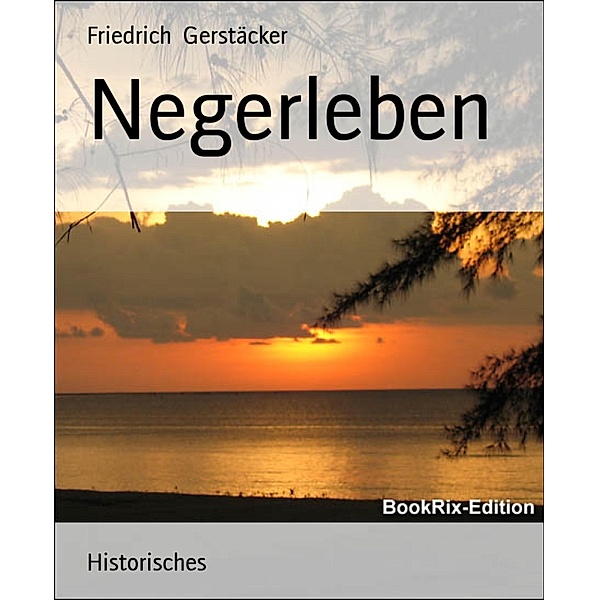 Negerleben, Friedrich Gerstäcker