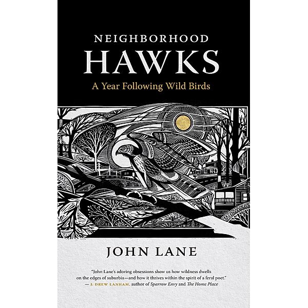 Neighborhood Hawks / Wormsloe Foundation Nature Books Bd.29, John Lane