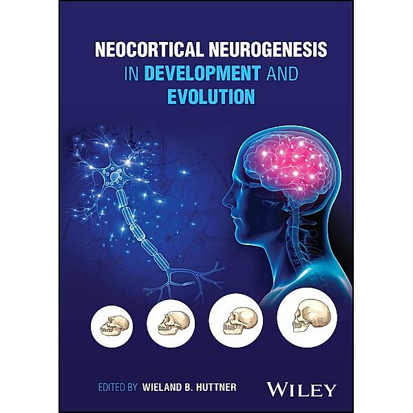 Neocortical Neurogenesis in Development and Evolution