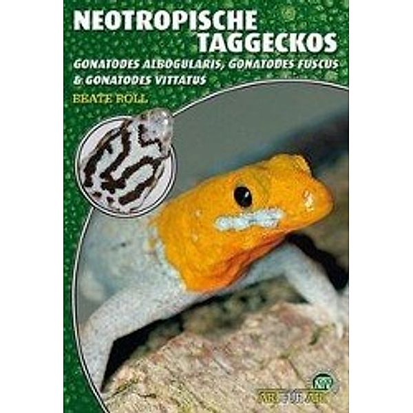 Neotropische Taggeckos, Beate Röll