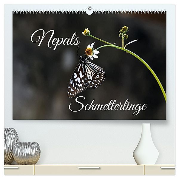 Nepals Schmetterlinge (hochwertiger Premium Wandkalender 2025 DIN A2 quer), Kunstdruck in Hochglanz, Calvendo, Andreas Hennighaußen