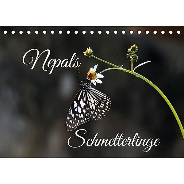Nepals Schmetterlinge (Tischkalender 2022 DIN A5 quer), Andreas Hennighaußen