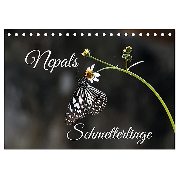 Nepals Schmetterlinge (Tischkalender 2025 DIN A5 quer), CALVENDO Monatskalender, Calvendo, Andreas Hennighaussen