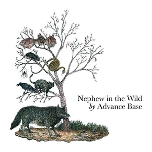 Nephew In The Wild (Vinyl), Advance Base