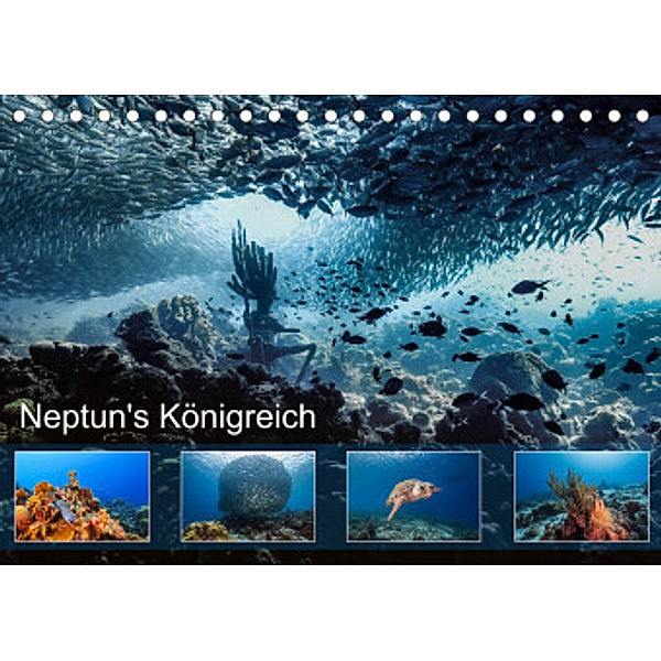 Neptun's Königreich (Tischkalender 2022 DIN A5 quer), Yvonne & Tilo Kühnast - naturepics