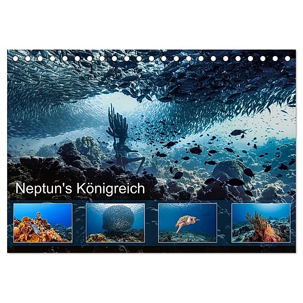Neptun's Königreich (Tischkalender 2024 DIN A5 quer), CALVENDO Monatskalender, Yvonne & Tilo Kühnast - naturepics