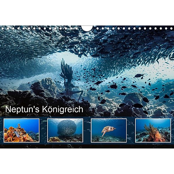 Neptun's Königreich (Wandkalender 2020 DIN A4 quer), Yvonne Kühnast