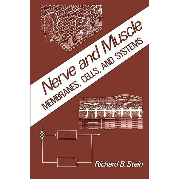 Nerve and Muscle, R. Stein