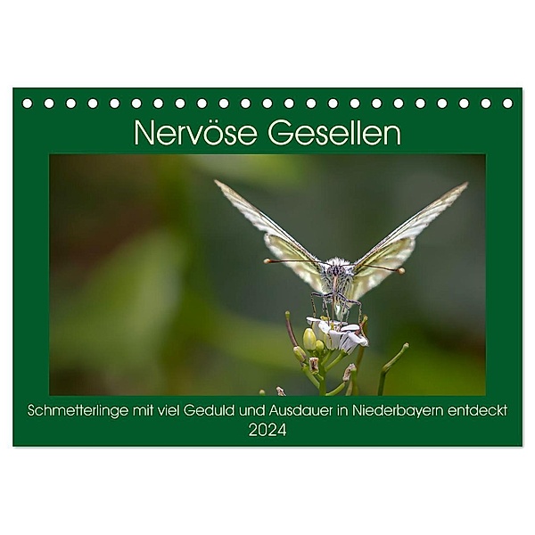 Nervöse Gesellen (Tischkalender 2024 DIN A5 quer), CALVENDO Monatskalender, Werner Baisch
