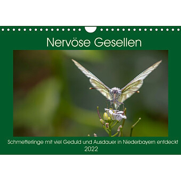 Nervöse Gesellen (Wandkalender 2022 DIN A4 quer), Werner Baisch