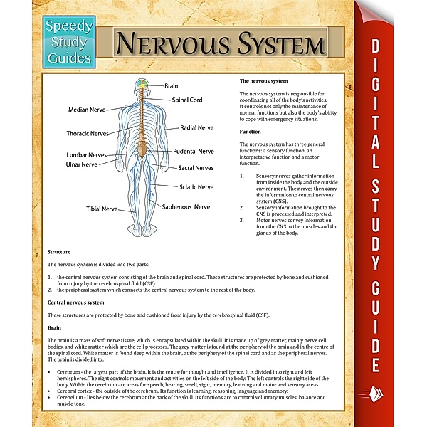 Nervous System / Dot EDU, Speedy Publishing