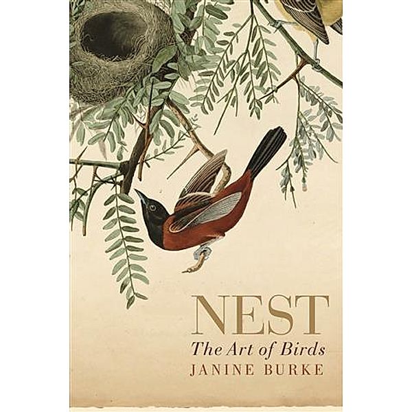 Nest, Janine Burke