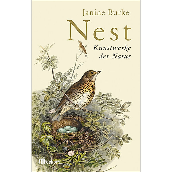 Nest, Janine Burke