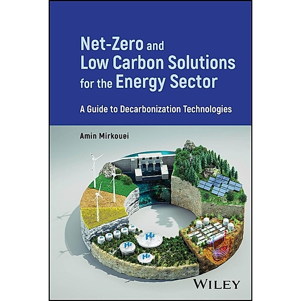 Net-Zero and Low Carbon Solutions for the Energy Sector, Amin Mirkouei