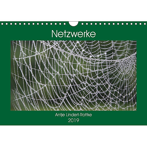 Netzwerke (Wandkalender 2019 DIN A4 quer), Antje Lindert-Rottke