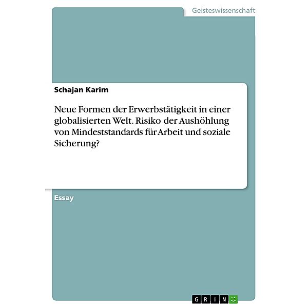 Neue Formen der Erwerbstätigkeit in einer globalisierten Welt. Risiko der Aushöhlung von Mindeststandards für Arbeit und soziale Sicherung?, Schajan Karim