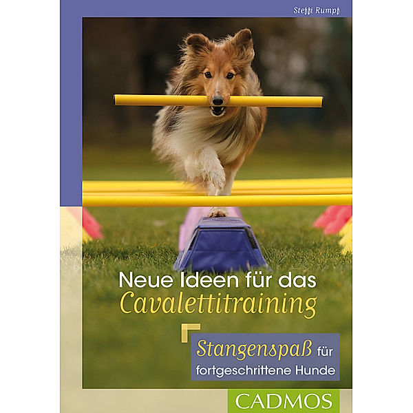 Neue Ideen für das Cavalettitraining, Steffi Rumpf