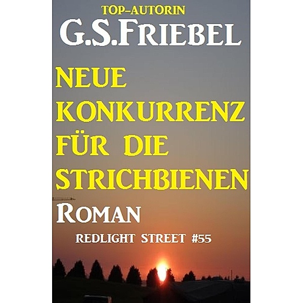 Neue Konkurrenz für die Strichbienen: Redlight Street #55, G . S. Friebel