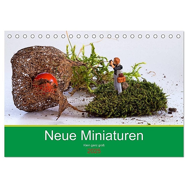 Neue Miniaturen - Klein ganz gross 2.0 (Tischkalender 2025 DIN A5 quer), CALVENDO Monatskalender, Calvendo, Ute Jackisch
