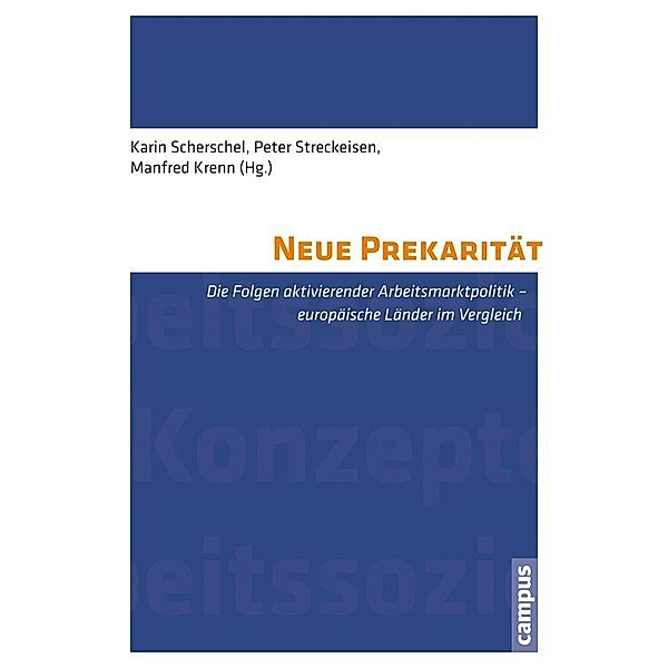 Neue Prekarität / Labour Studies Bd.2