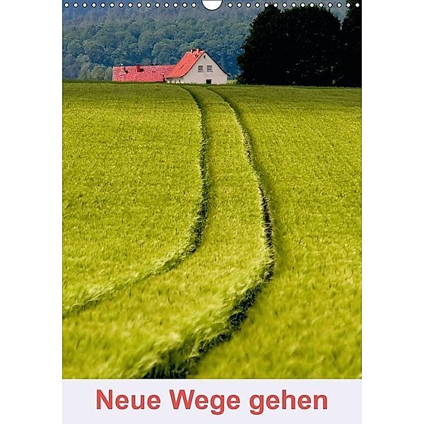 Neue Wege gehen (Wandkalender 2017 DIN A3 hoch), Hans Pfleger