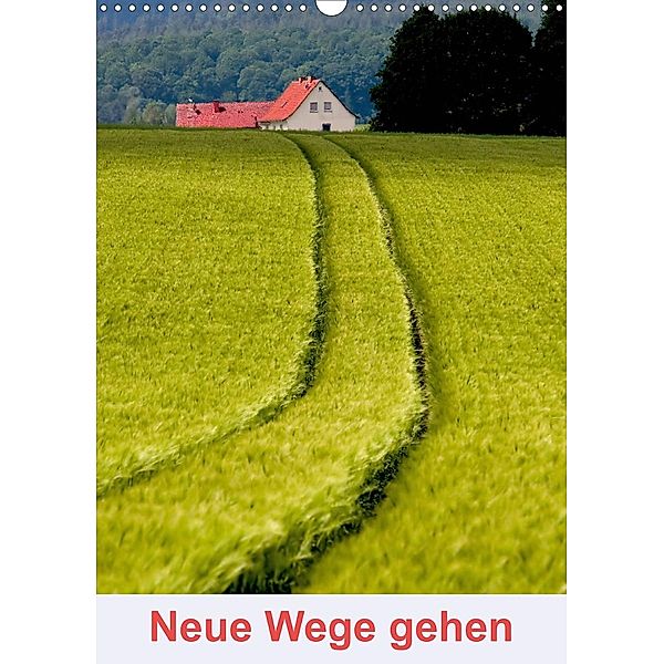 Neue Wege gehen (Wandkalender 2020 DIN A3 hoch), Hans Pfleger