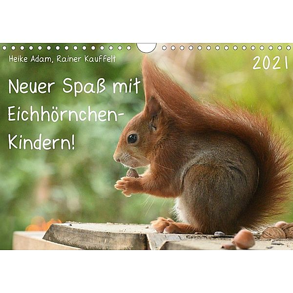 Neuer Spaß mit Eichhörnchen-Kindern (Wandkalender 2021 DIN A4 quer), Heike Adam