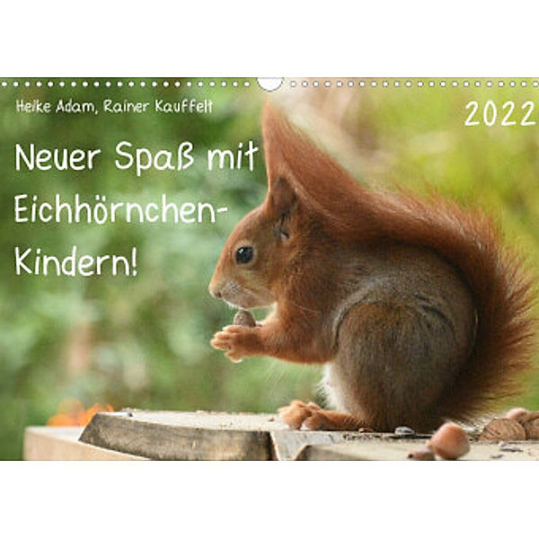 Neuer Spaß mit Eichhörnchen-Kindern (Wandkalender 2022 DIN A3 quer), Heike Adam