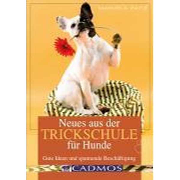 Neues aus der Trickschule für Hunde, Manuela Zaitz