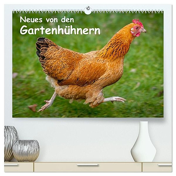 Neues von den Gartenhühnern (hochwertiger Premium Wandkalender 2024 DIN A2 quer), Kunstdruck in Hochglanz, Britta Berkenkamp