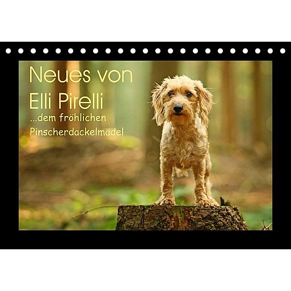 Neues von Elli Pirelli, dem fröhlichen Pinscherdackelmädel (Tischkalender 2023 DIN A5 quer), Kathrin Köntopp