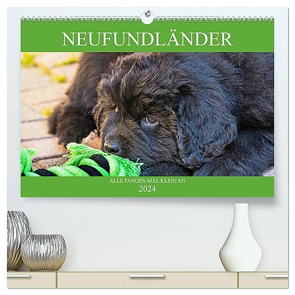 Neufundländer - Alle fangen mal klein an (hochwertiger Premium Wandkalender 2024 DIN A2 quer), Kunstdruck in Hochglanz, Sigrid Starick