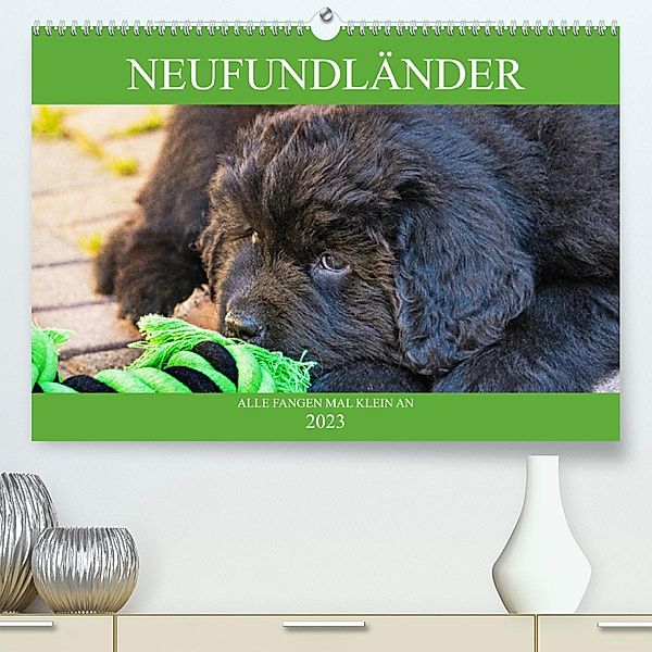 Neufundländer - Alle fangen mal klein an (Premium, hochwertiger DIN A2 Wandkalender 2023, Kunstdruck in Hochglanz), Sigrid Starick