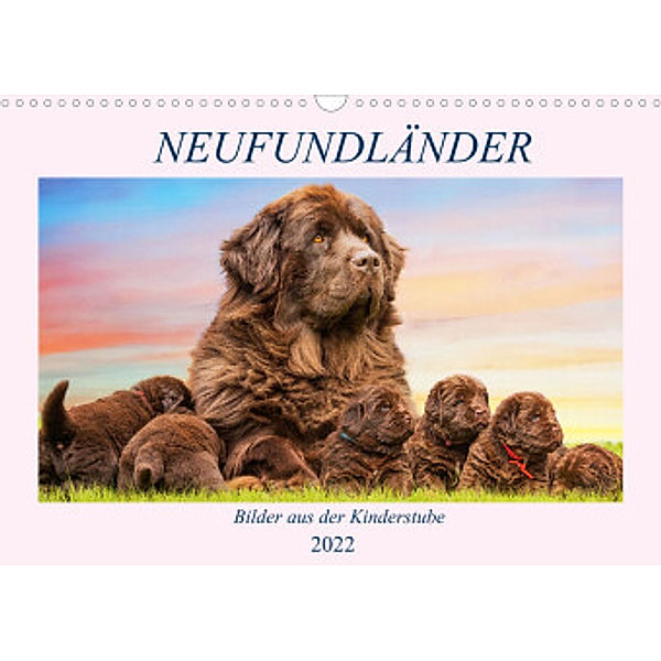 Neufundländer - Bilder aus der Kinderstube (Wandkalender 2022 DIN A3 quer), Sigrid Starick