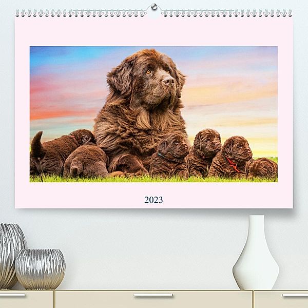 Neufundländer - Bilder aus der Kinderstube (Premium, hochwertiger DIN A2 Wandkalender 2023, Kunstdruck in Hochglanz), Sigrid Starick