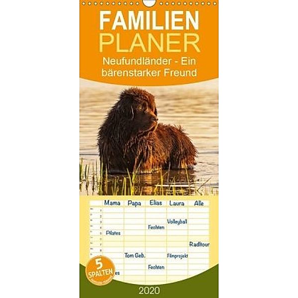 Neufundländer - Ein bärenstarker Freund - Familienplaner hoch (Wandkalender 2020 , 21 cm x 45 cm, hoch), Sigrid Starick